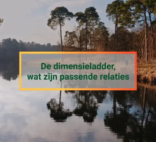 dimensieladder header