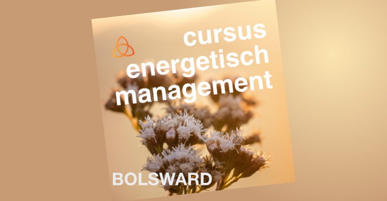 Cursus EM in Bolsward